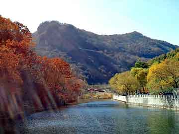 管家婆黑白马报图库，浴室女尸